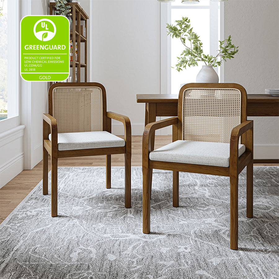 Kevin Mid Century Modern Ratten Dining Accent Chair Set of 2