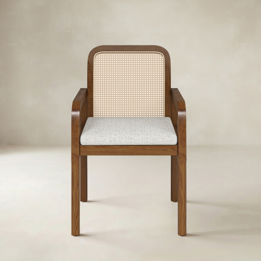 Kevin Mid Century Modern Ratten Dining Accent Chair Set of 2