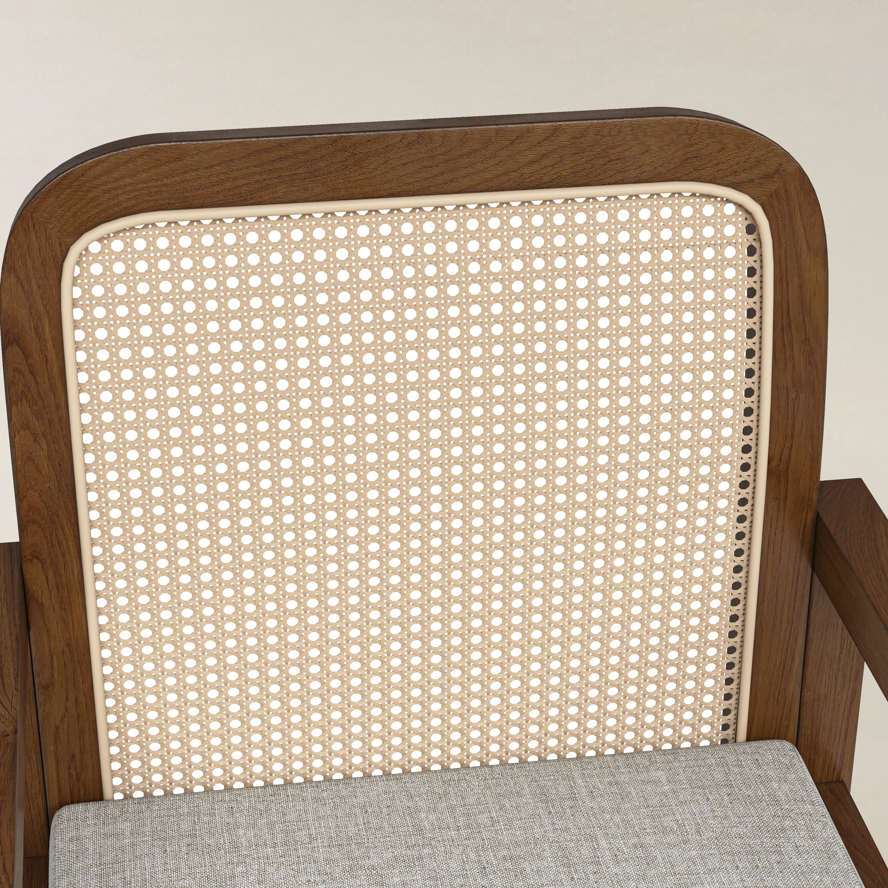 Kevin Mid Century Modern Ratten Dining Accent Chair Set of 2