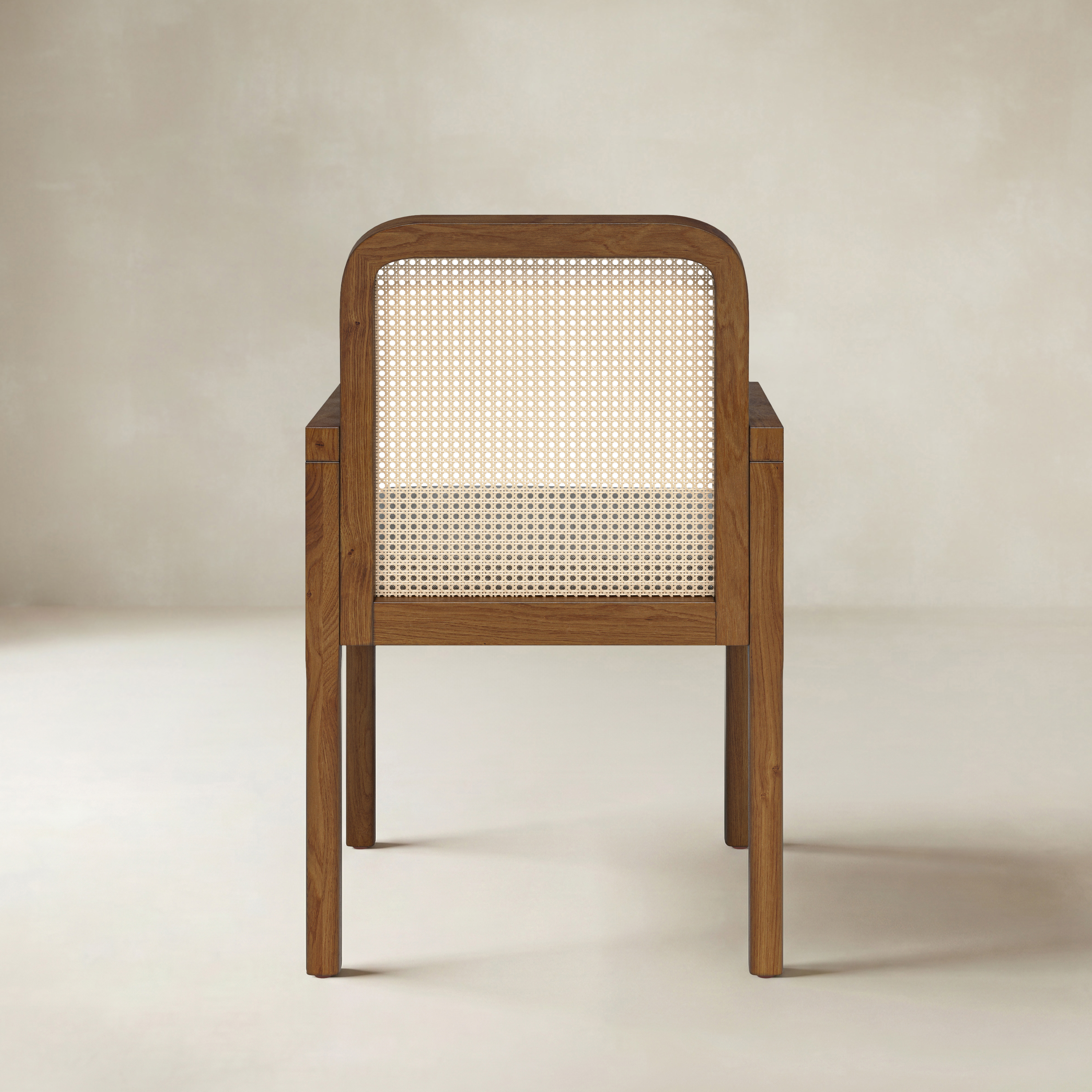 Kevin Mid Century Modern Ratten Dining Accent Chair Set of 2