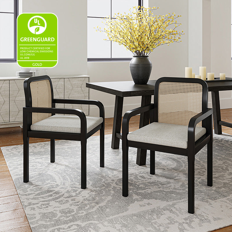 Kevin Mid Century Modern Ratten Dining Accent Chair Set of 2