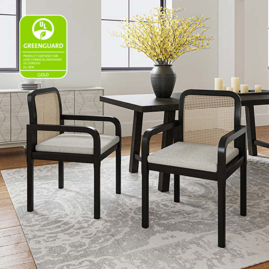 Kevin Mid Century Modern Ratten Dining Accent Chair Set of 2