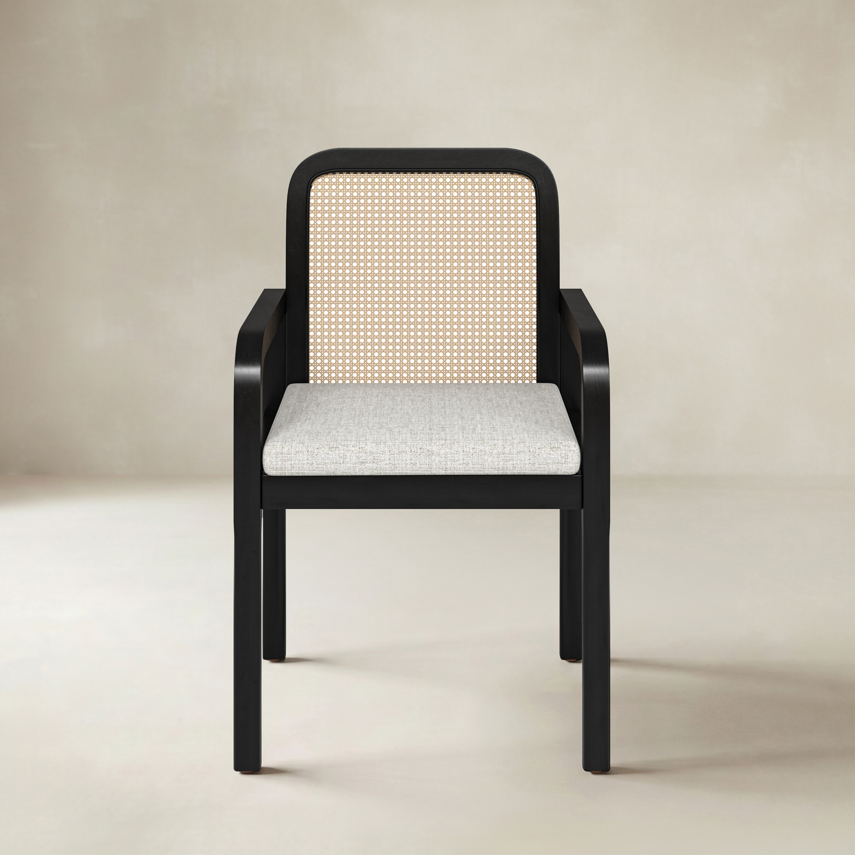 Kevin Mid Century Modern Ratten Dining Accent Chair Set of 2