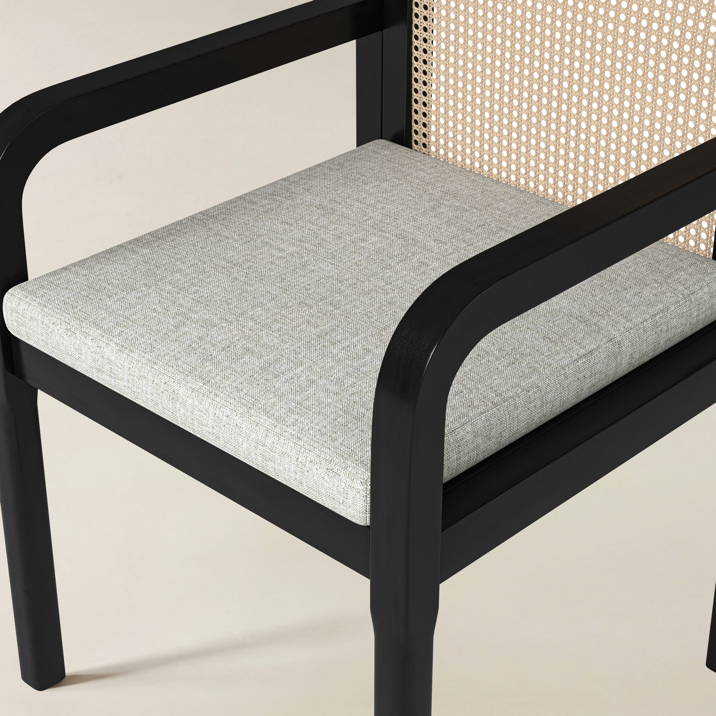 Kevin Mid Century Modern Ratten Dining Accent Chair Set of 2