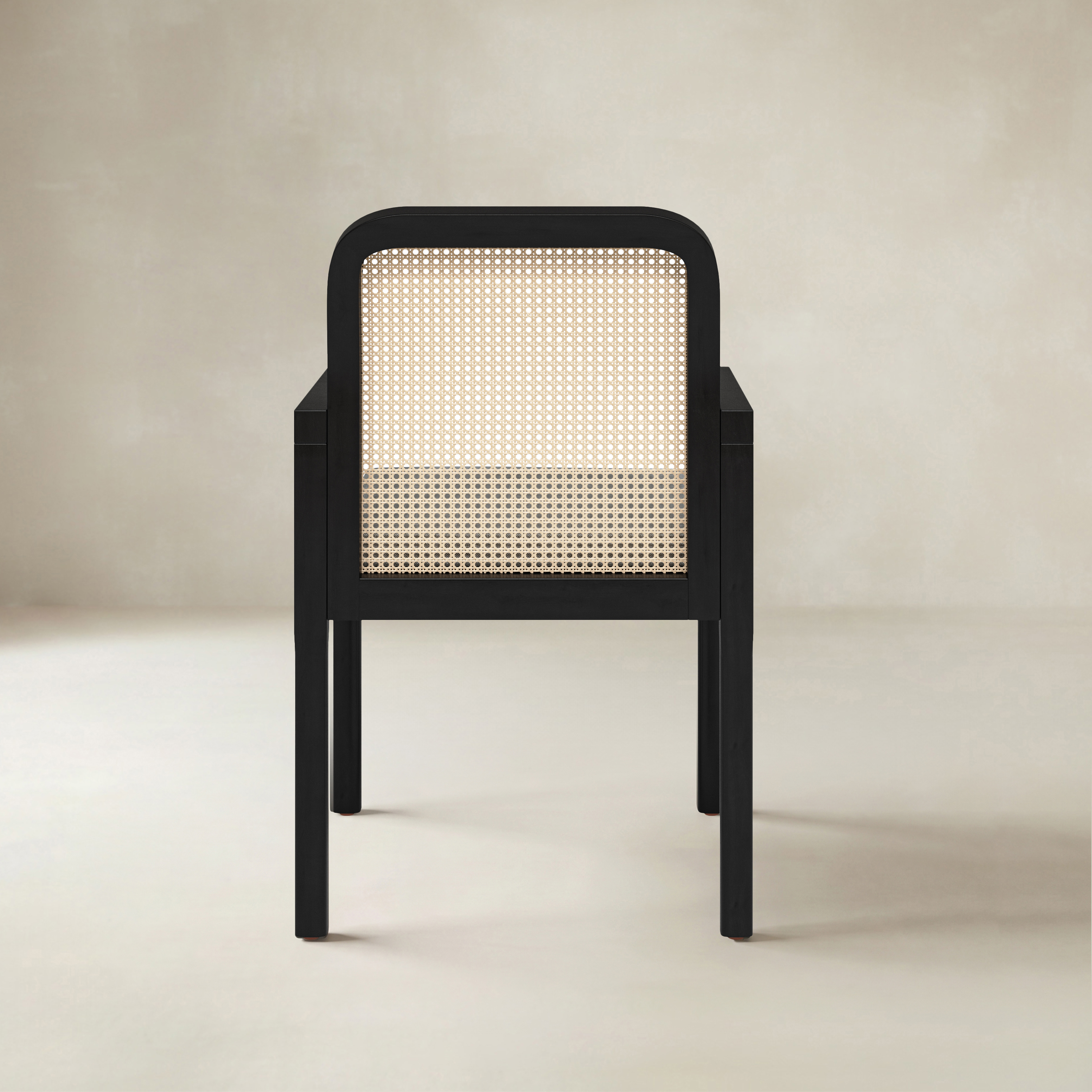 Kevin Mid Century Modern Ratten Dining Accent Chair Set of 2