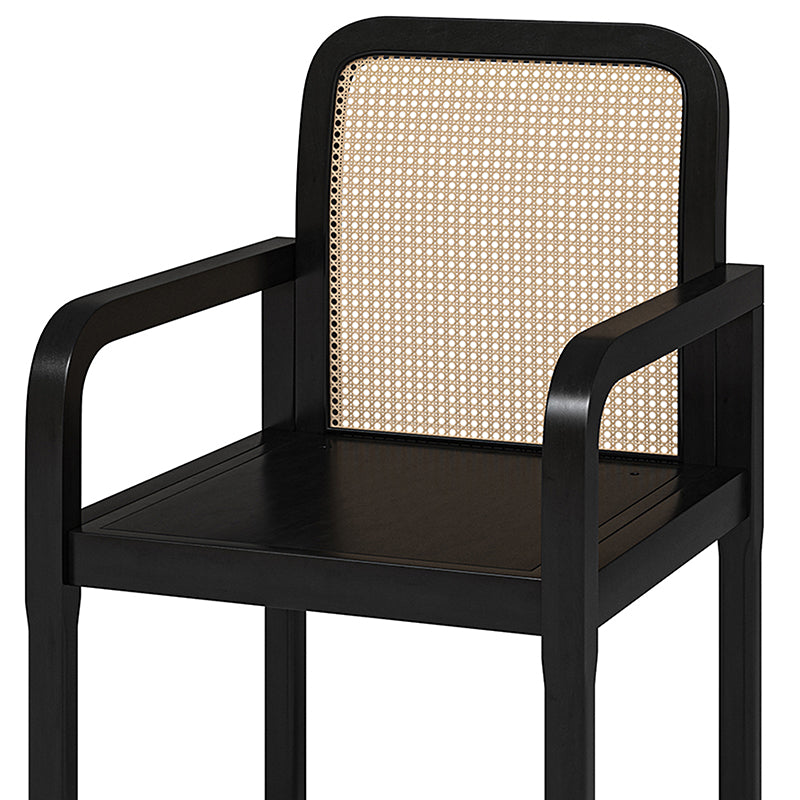 Kevin Mid Century Modern Ratten Dining Accent Chair Set of 2