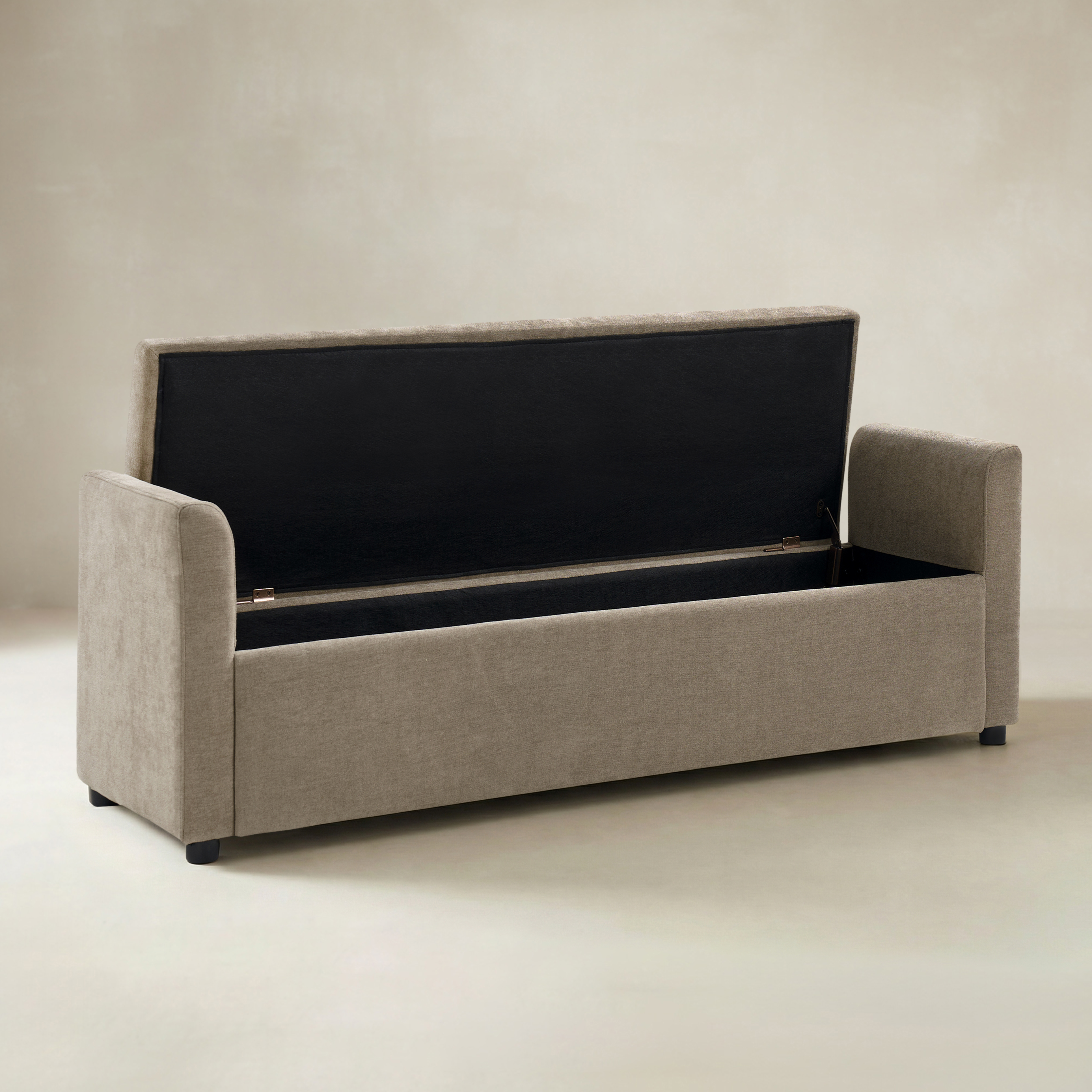 Benito 59.4" Wide End of Bed Storage Couch Bench with Two Throw Pillows
