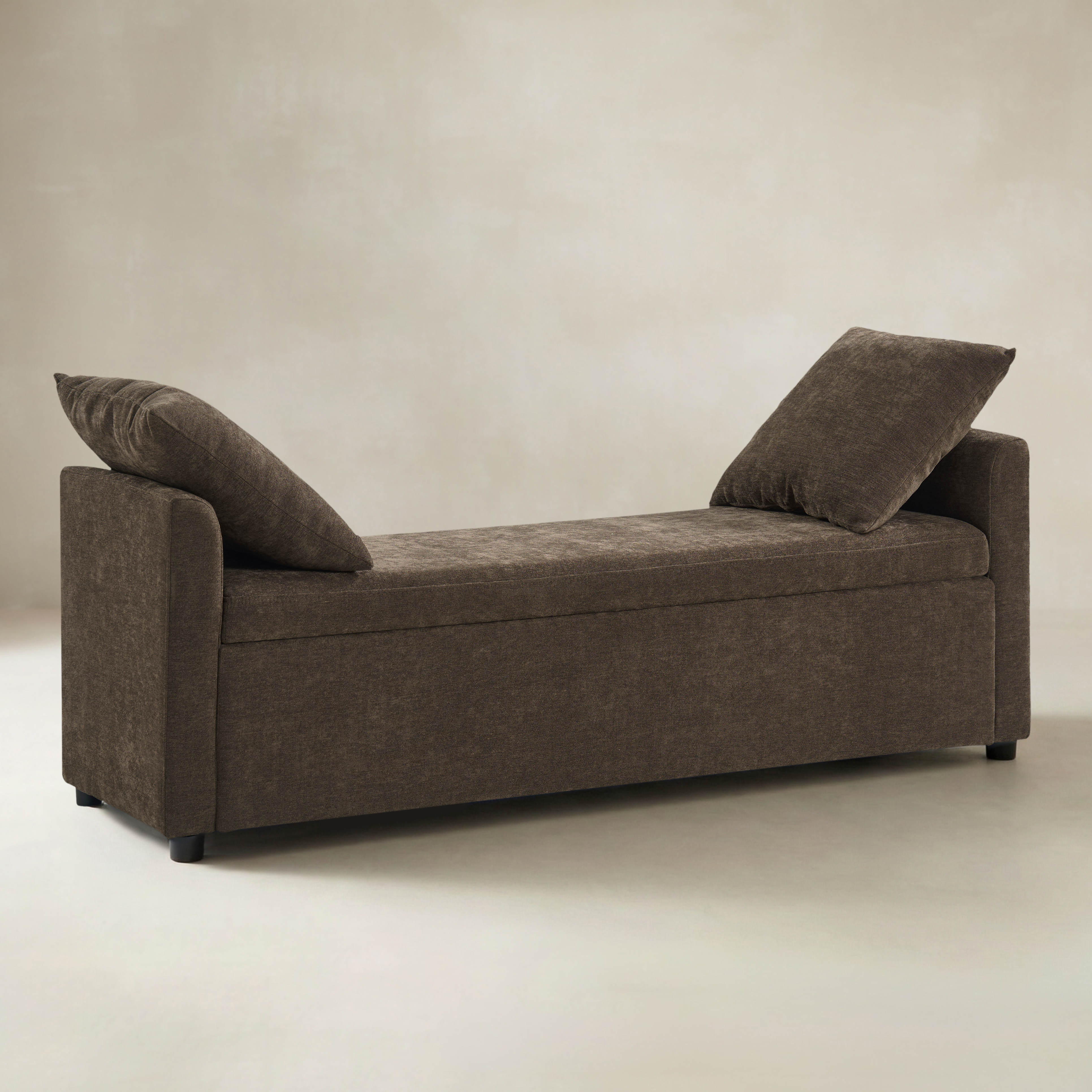 Benito 59.4" Wide End of Bed Storage Couch Bench with Two Throw Pillows