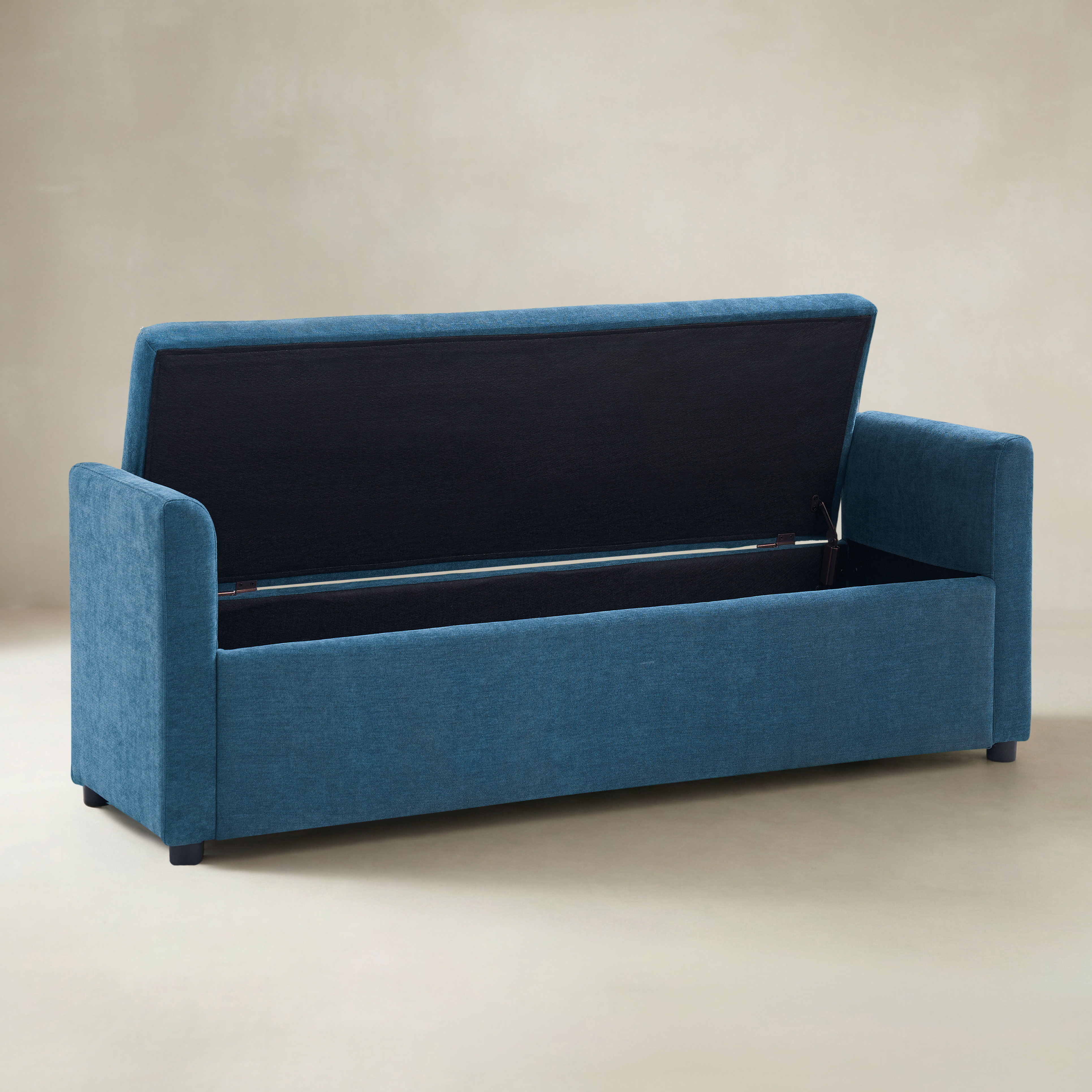 Benito 59.4" Wide End of Bed Storage Couch Bench with Two Throw Pillows