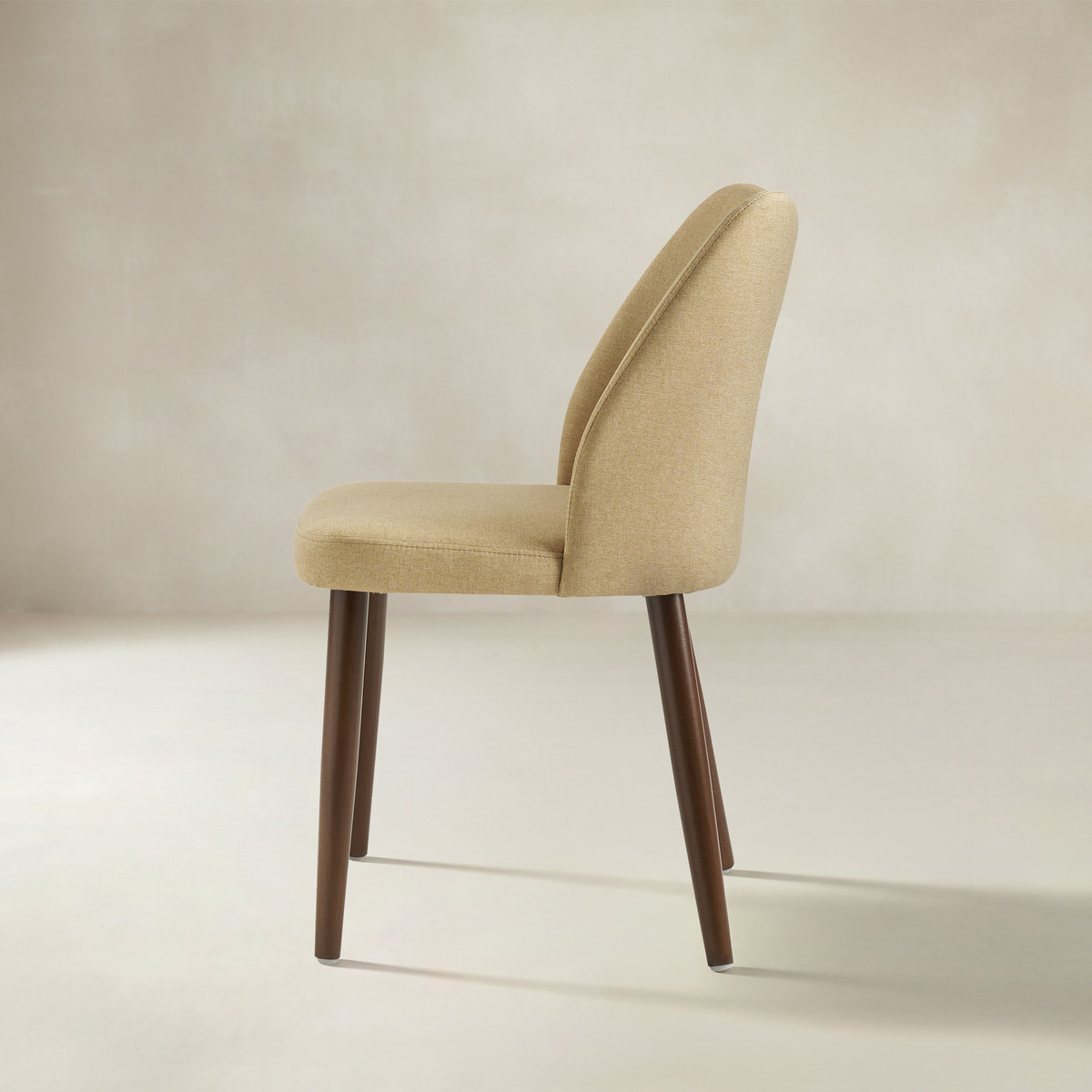 Diana Mid-Century Modern Upholstered Dining Chair,Set of 2