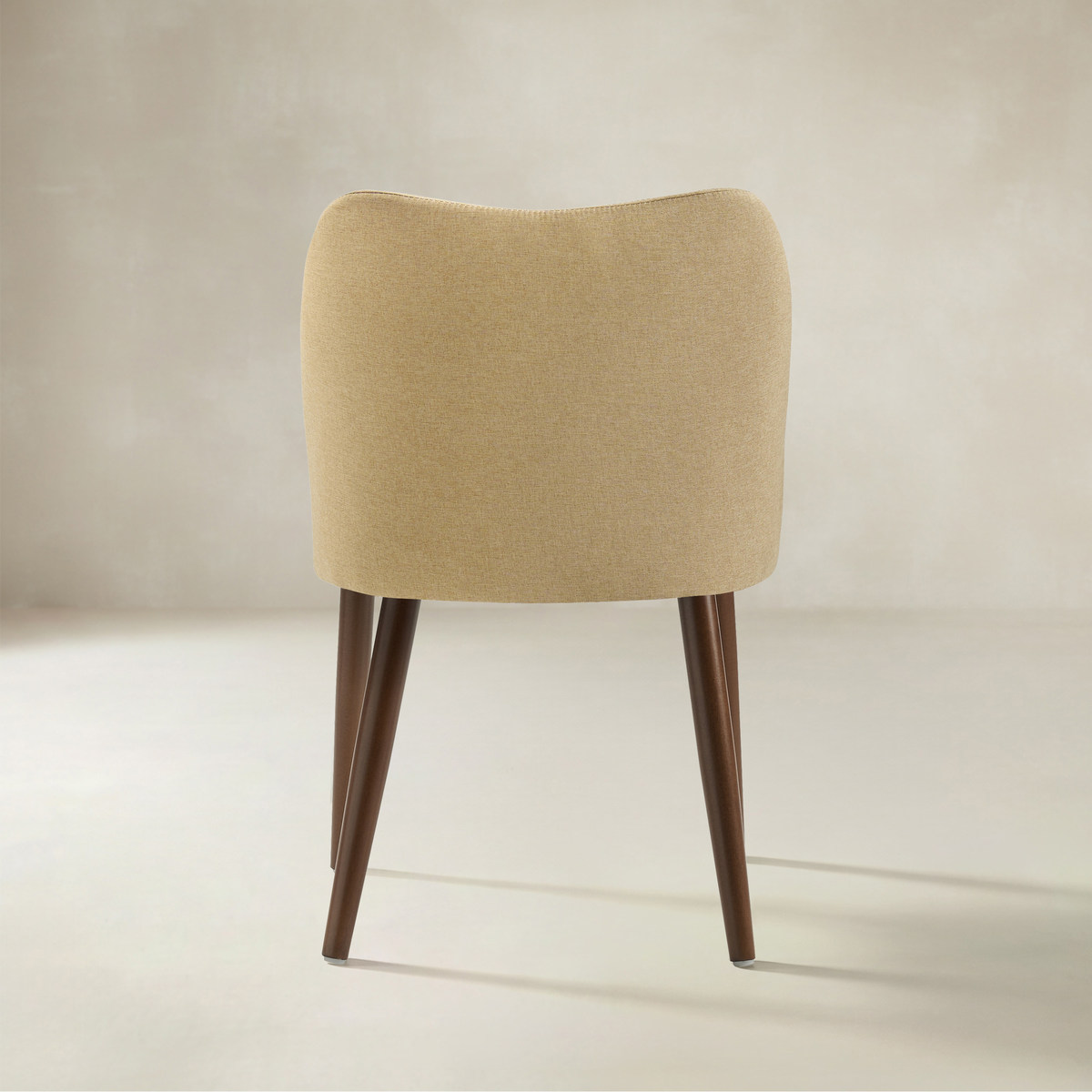 Diana Mid-Century Modern Upholstered Dining Chair,Set of 2