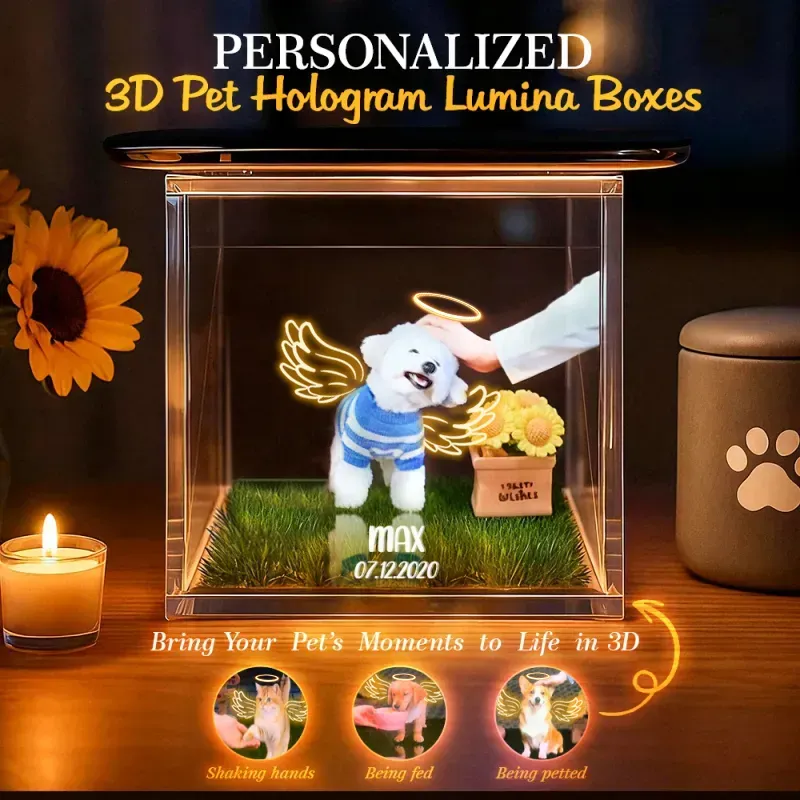Pet Holographic Lumina Boxes | Pet Memorial Halo Wings Ornaments | High-Transmittance Holographic Material Image DIY Pet Holographic House For Dogs
