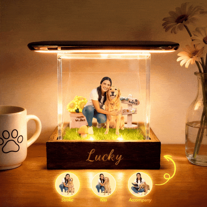 Custom Pet Digital Hologram House with Wooden Base