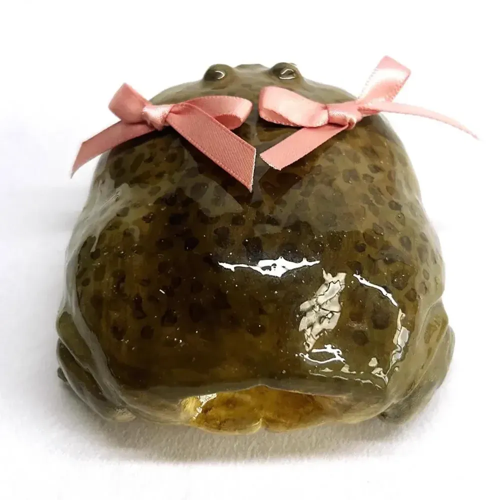 3D Ugly Frog Creative Earphone Case