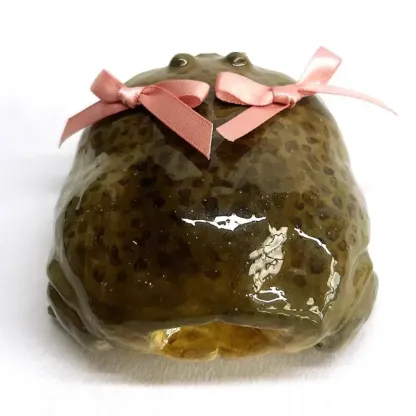 3D Ugly Frog Creative Earphone Case