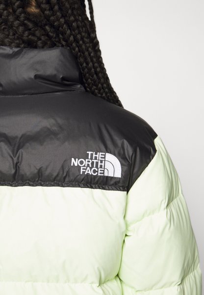 The Notthhrth Face NUPTSE SHORT JACKET