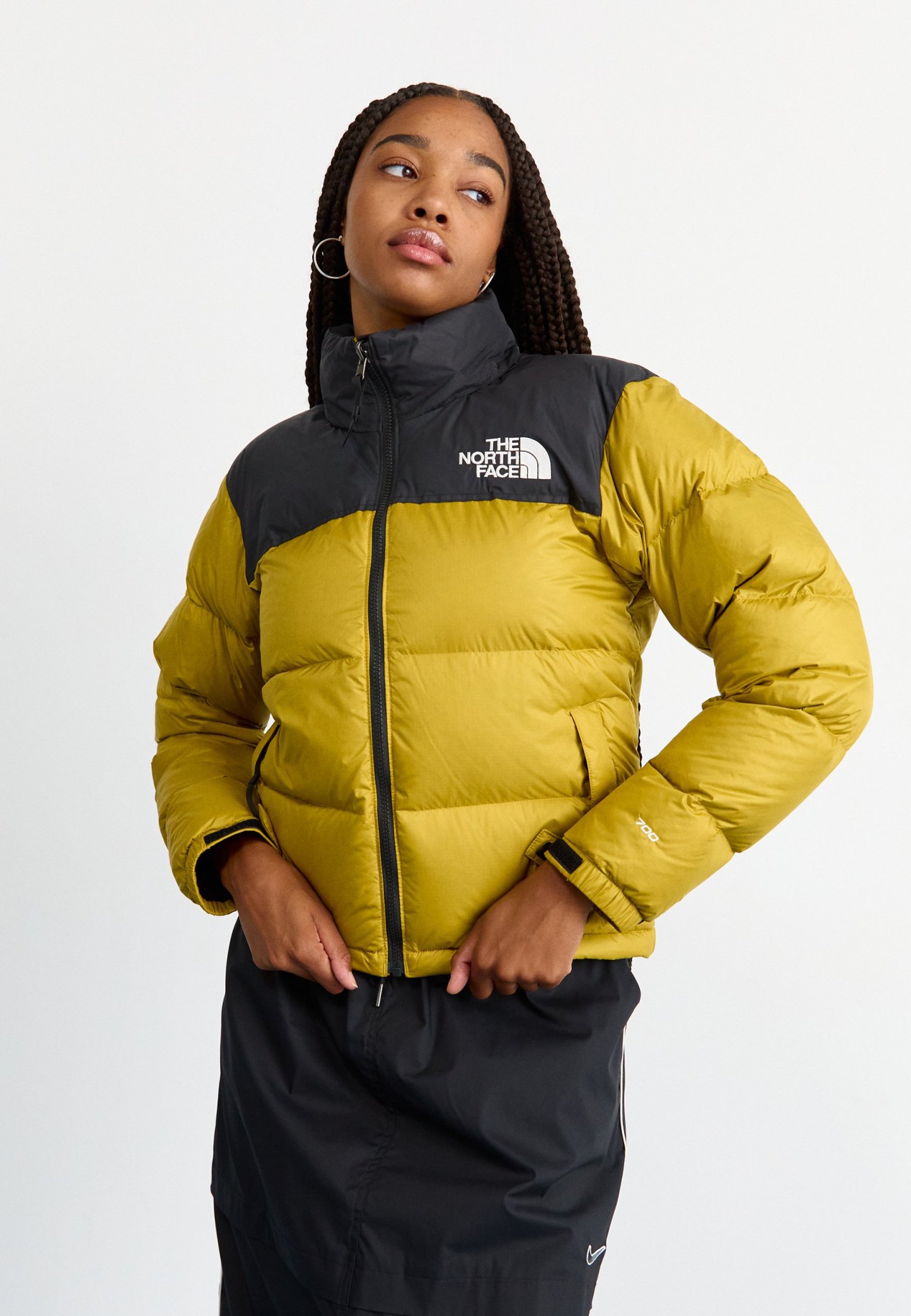 The North Face 1996 RETRO NUPTSE