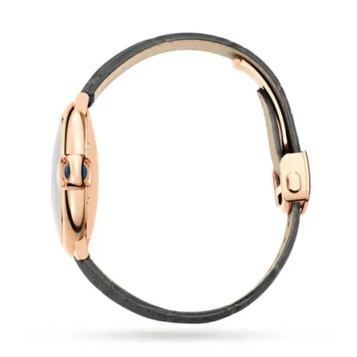 cathtrtier Ballon Bleu de cathtrtier Men Automatic Grey Alligator Watch WGBB0050