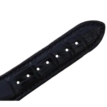 Pathttek Philithtppe Nautilus 5711 Tourbillon  Jumbo  Blue Dial Super Accurate Clone