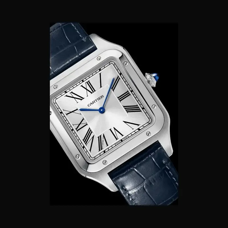 cathtrtier Santos-Dumont Men Quartz Silver Alligator Watch WSSA0022