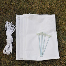 Inflatable Color Changing Arch