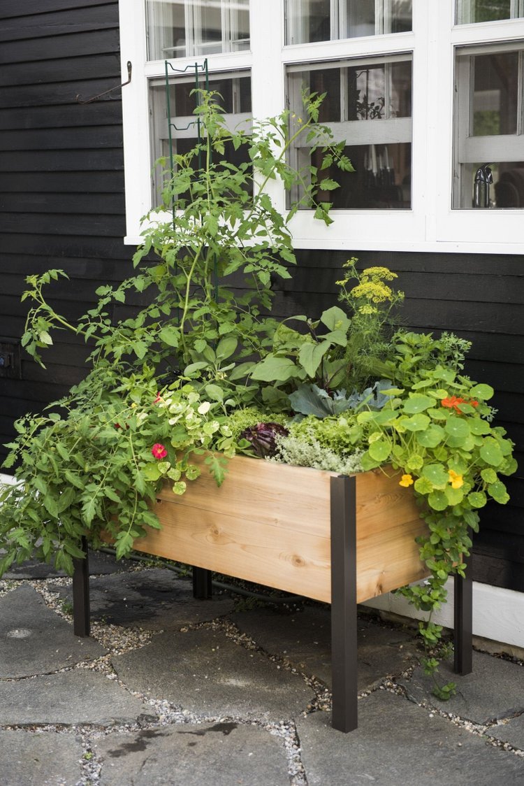 Self-Watering Eco-Stained Elevated Planter Box