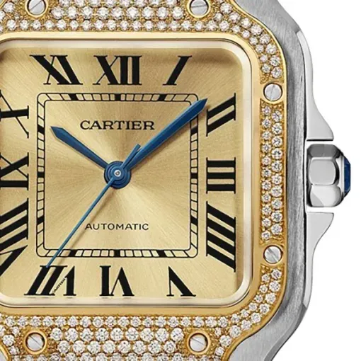 cathtrtier Santos de cathtrtier Women Automatic Gold Watch W3SA0007