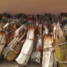 Collect Charity Leaf Areca Leaves