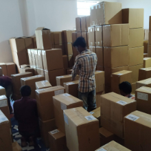 Pack Charity leaf Plates