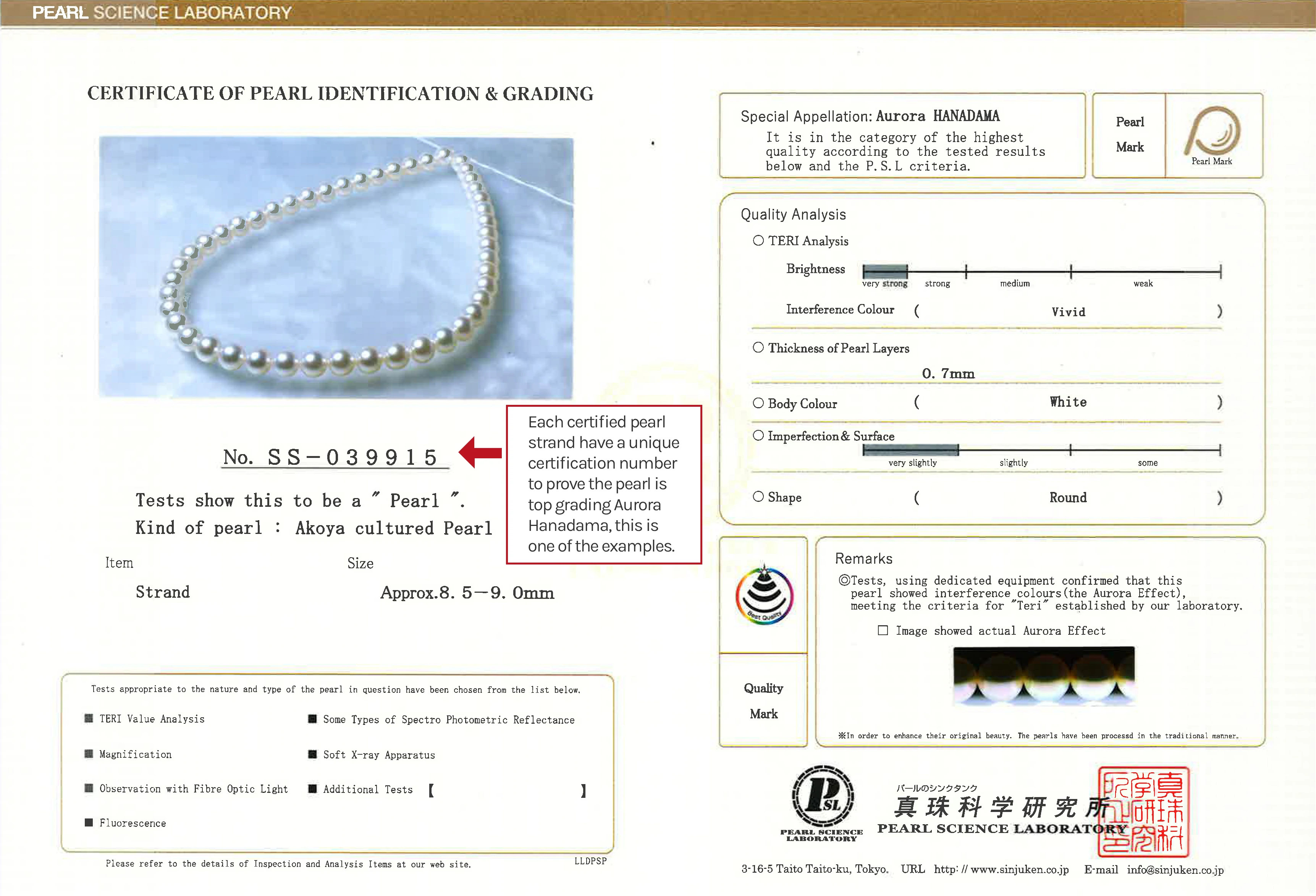 ⏰Limited Discount Time 50% OFF⏰--Japan AAAA Akoya Pearl Necklace