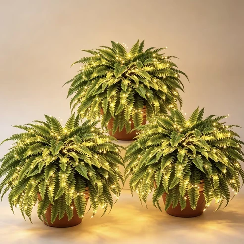 💥BUY 1 GET 1 FREE (2 PCS) 💛 Glowing Boston Ferns with Lights – 🌿 Zero Watering, Zero Maintenance