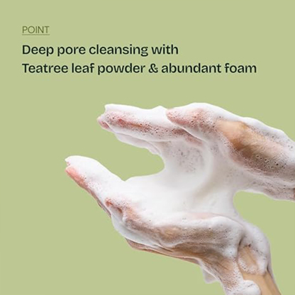 Cleansing Foaming Cleanser