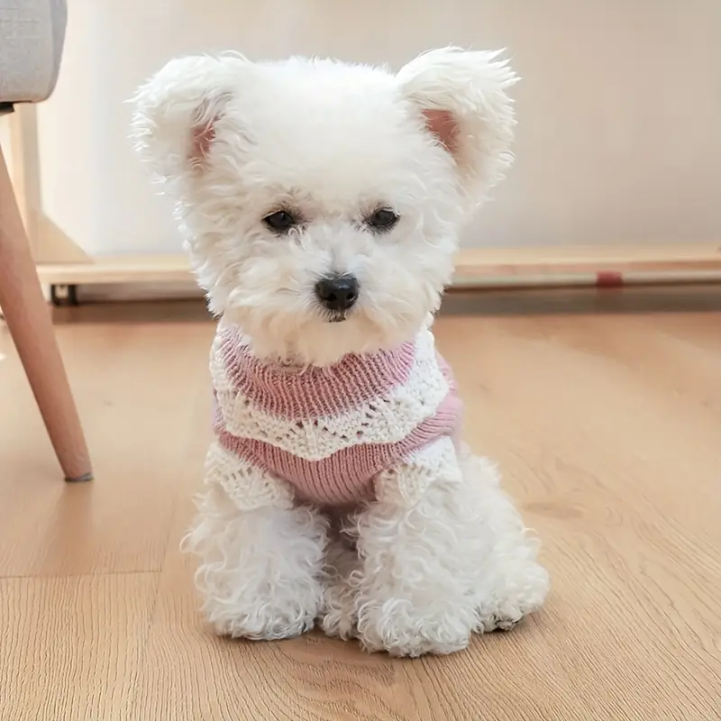 Dog Sweater - Flower