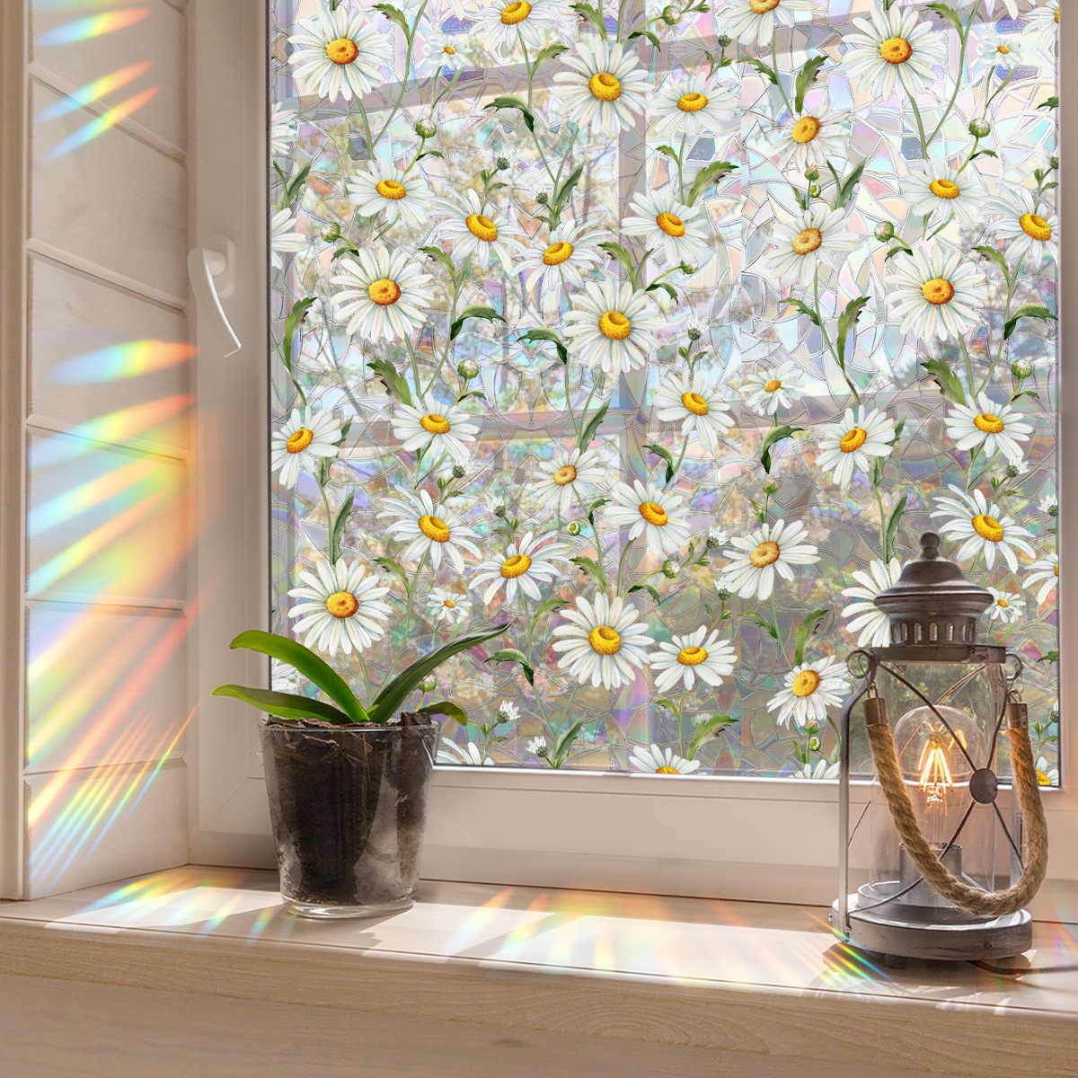 3D Rainbow Window Film