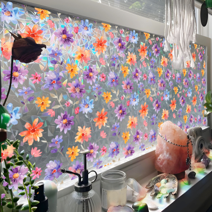 3D Rainbow Window Film