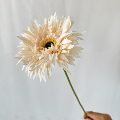 🌼2025 Hot Sale🔥Realistic Artificial Spider Gerbera Daisies Home Decor💐