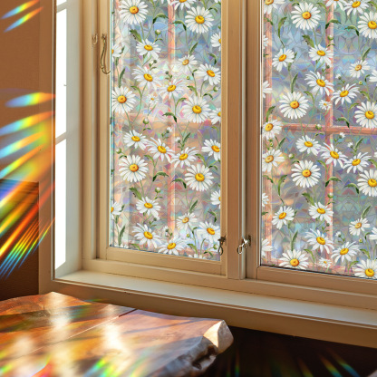 3D Rainbow Window Film