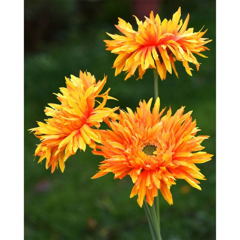🌼2025 Hot Sale🔥Realistic Artificial Spider Gerbera Daisies Home Decor💐
