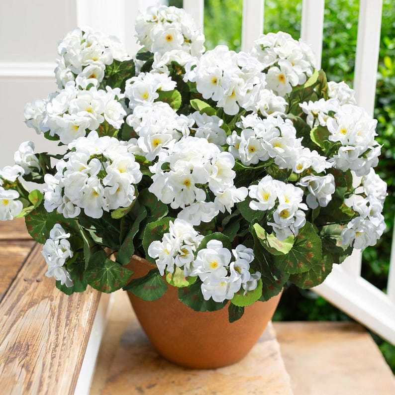 🔥Last Day 49% OFF🌼Artificial Geranium Flowers - UV resistant, Waterproof, Windproof