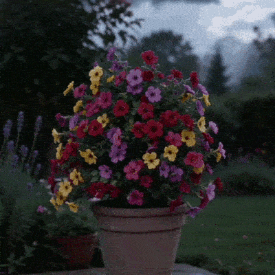 Artificial Violet for Outdoor Indoor Garden Home Decoration