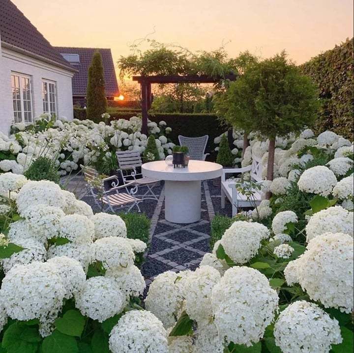 💥Hot Sale-50% OFF💥Artificial Hydrangea Flowers💐