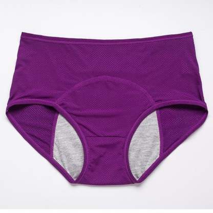 High Waist Leak Proof Panties