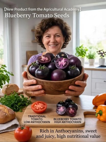 🧑‍🌾 New Black Tomato from Agri-Tech Institute – 3x More Nutrients Than Regular Tomatoes🖤 Purple Skin, Dark Flesh – High in Antioxidants, Eat Your Way to Youth🍅 Large Fruit Tomato – Bursts with Juice, Sweeter Than Your First Love