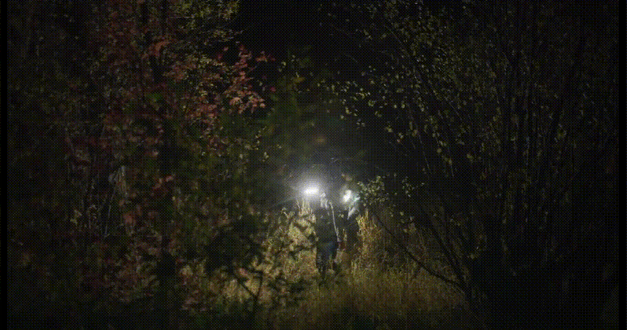 3.gif