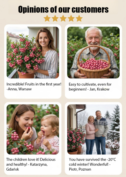 Rare Pink Berries: Sweeter Than Candy! 🍬🍓Grow Stunning Pink Blueberries at Home! 🏡💖Get 3000 Pink Berry Seeds for Just $52! 💰🚀