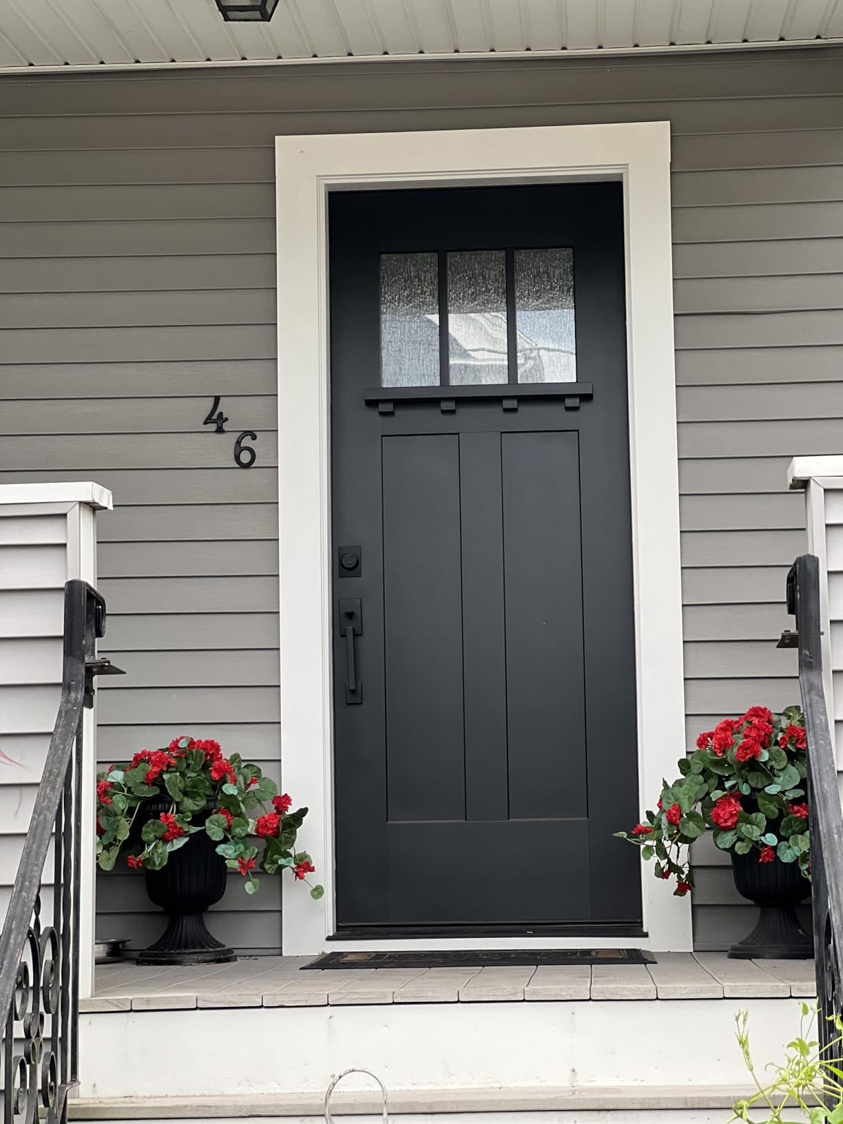 Buy them now!!! Perfect geraniums all the time!