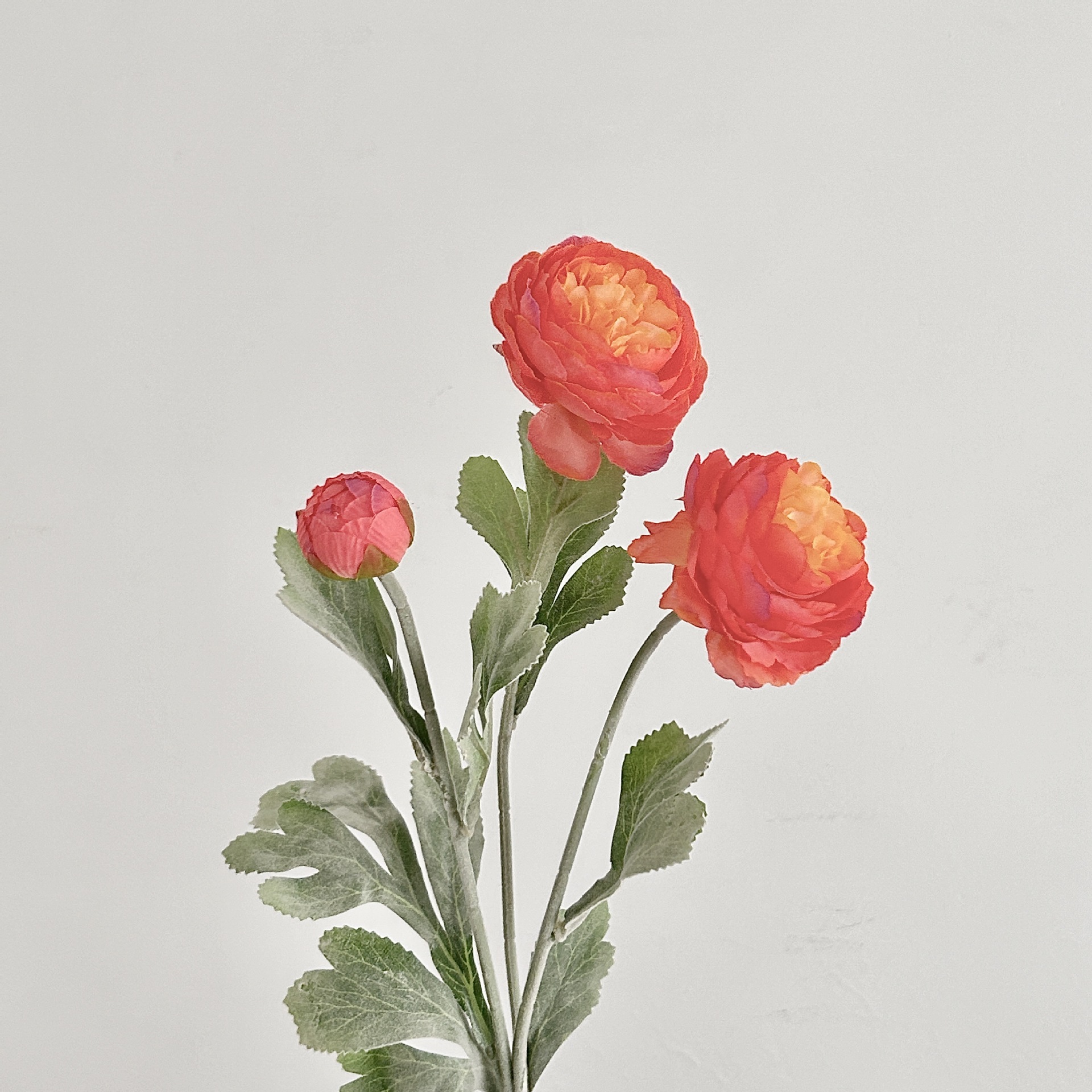 💖$8.99 Today Only - Artificial Peonies Flowers for All Year Round💐