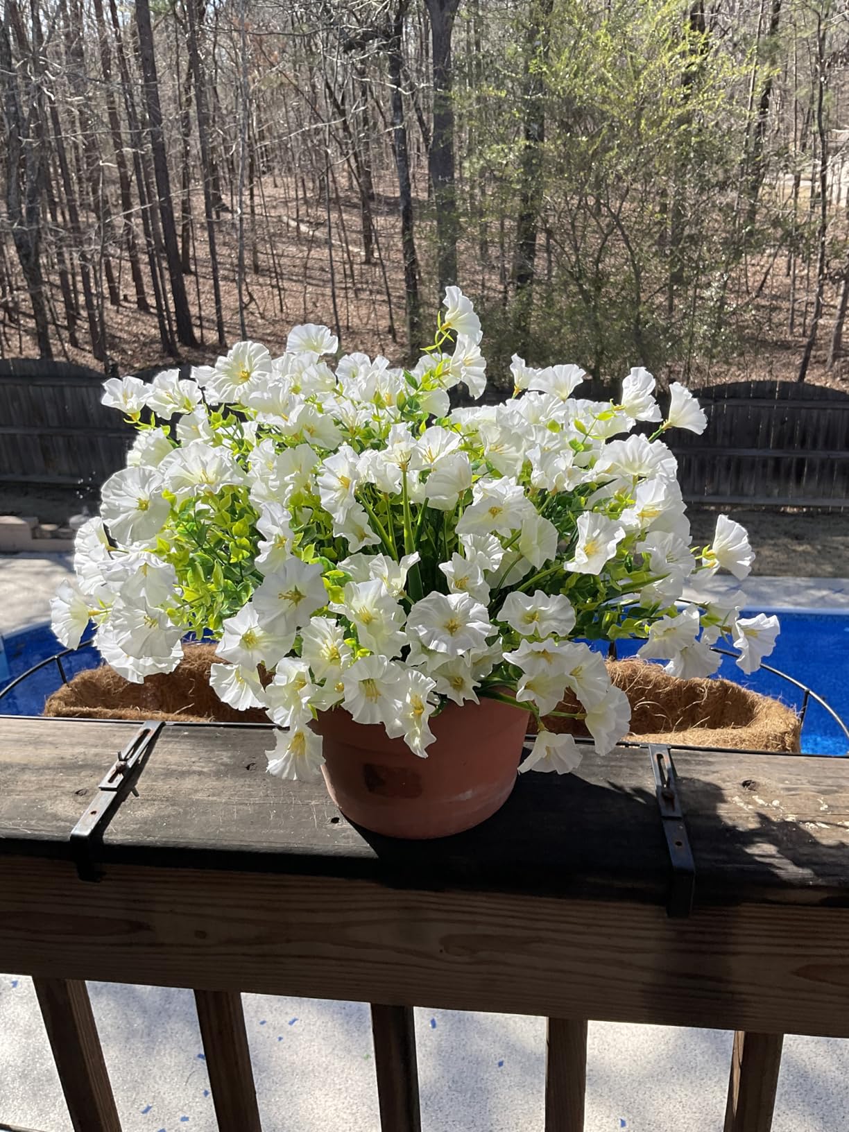 🔥Last Day 60% OFF🔥UV Resistant Artificial Petunias Flowers