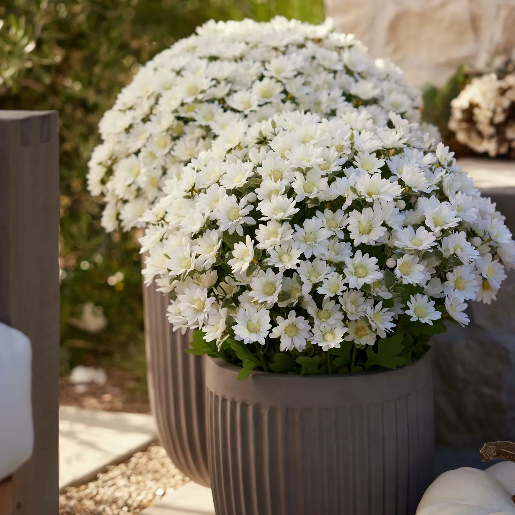 🌼💥Last Day Only $2.99 Each - Artificial Outdoor Mums Flowers - UV resistant, Waterproof, Windproof