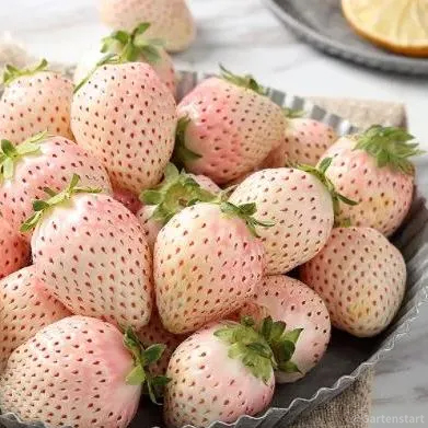 🍓Cream Giant Strawberry Seeds -- Various shapes & Natural juices🥤